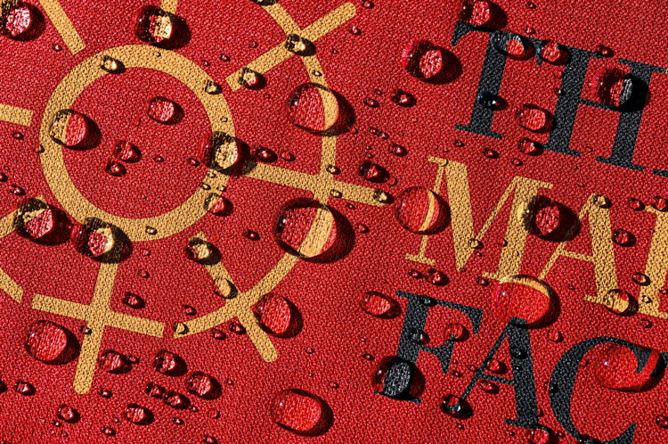 女性教育慈善機(jī)構(gòu)MaidenFactor品牌升價(jià)改造，logo設(shè)計(jì)