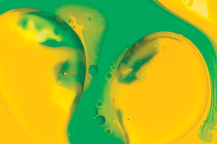 聯(lián)邦啤酒產(chǎn)品包裝設計，絢麗多彩