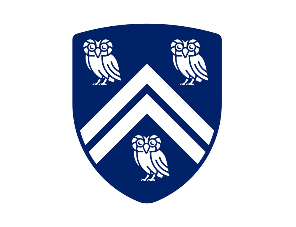 萊斯大學(xué)vi設(shè)計，品牌形象改造，logo設(shè)計